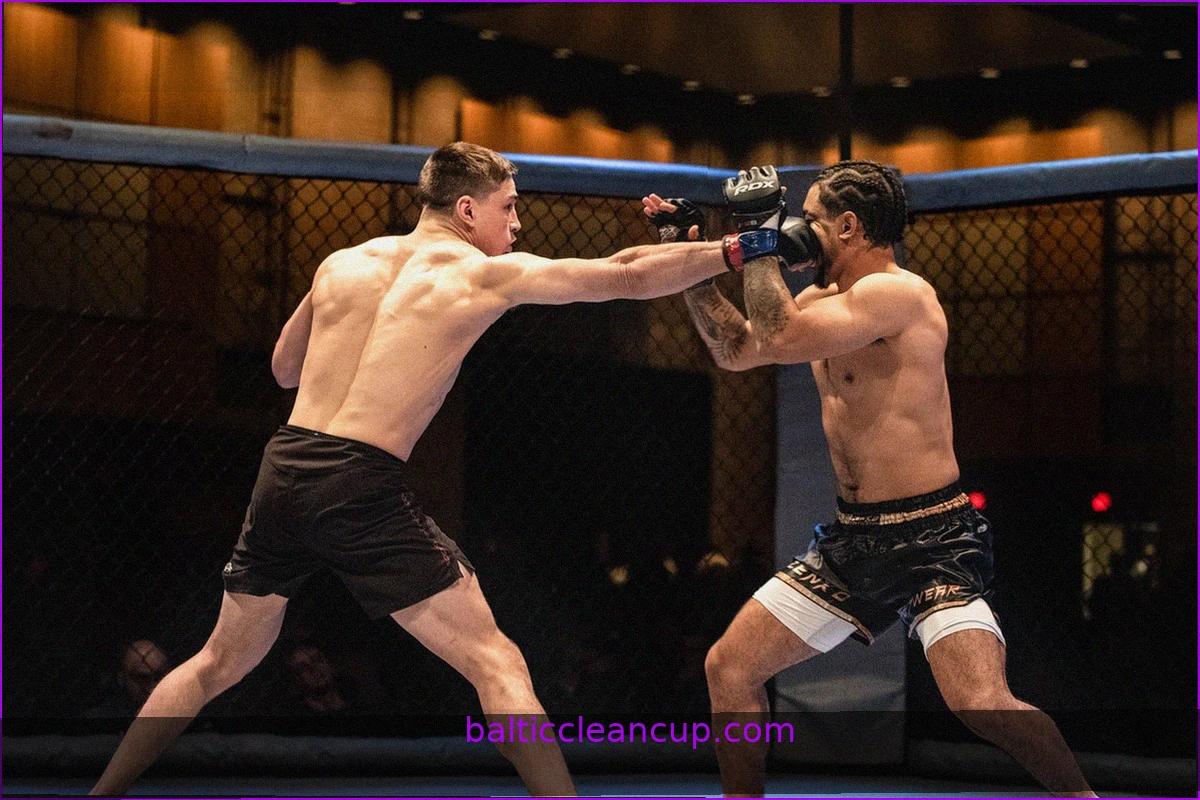 Beyond the UFC: How to Legally Stream Regional MMA