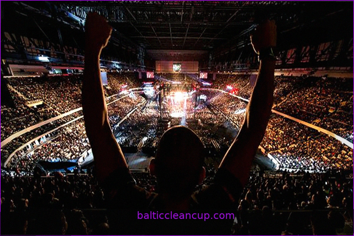 How MMA Fans Are Embracing Online Entertainment