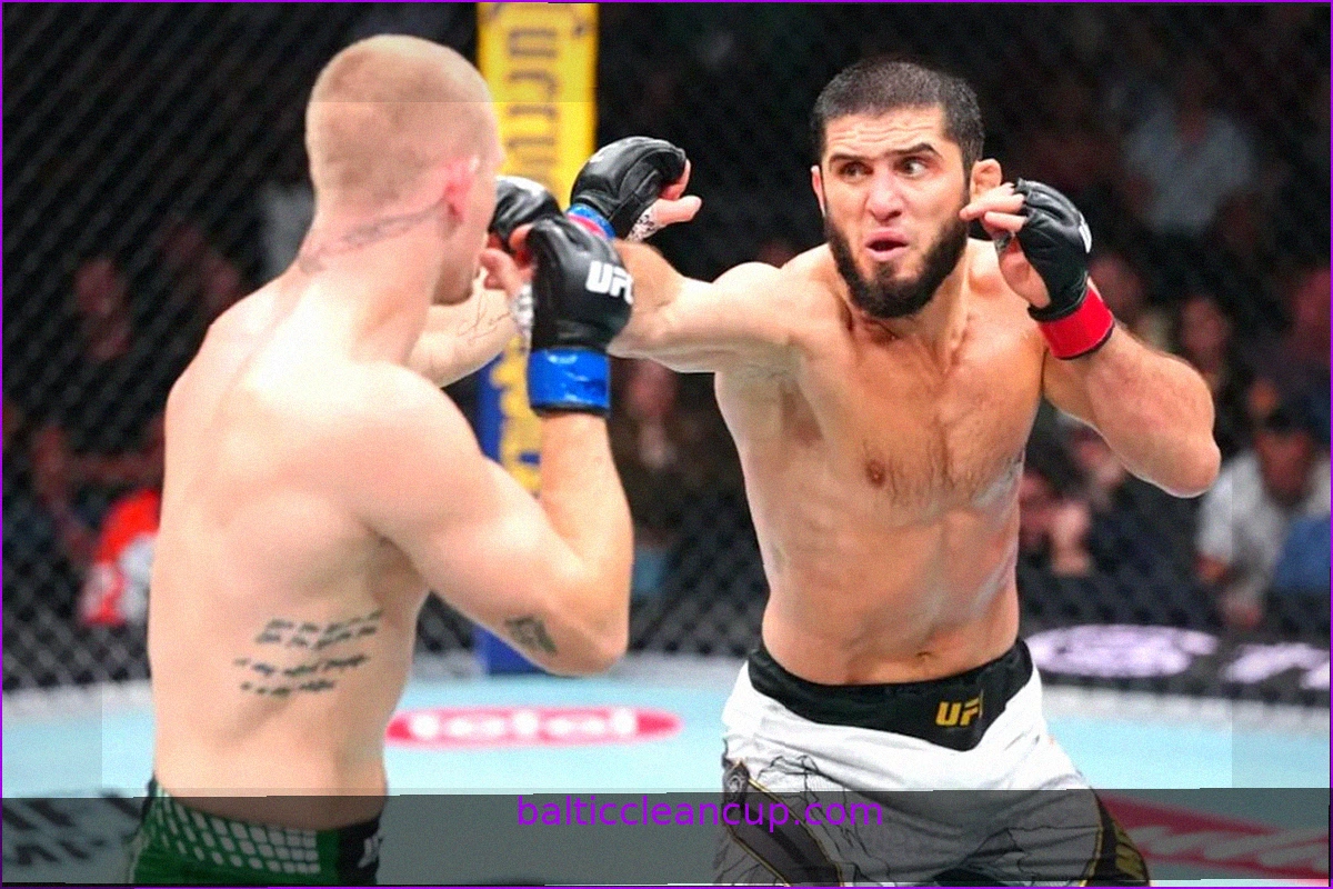 What's Next for the Stars of UFC 330?