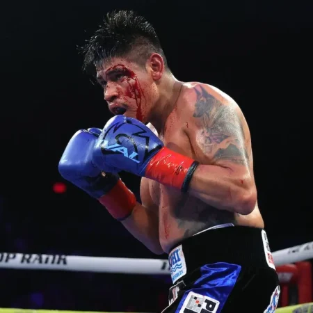 Decision Pending on Navarrete vs. Suarez Result After Controversial Stoppage