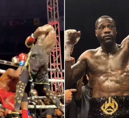 Deontay Wilder Knocks Out Tyrrell Herndon In Round Seven