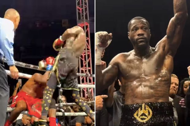 Preview Deontay Wilder Knocks Out Tyrrell Herndon In Round Seven