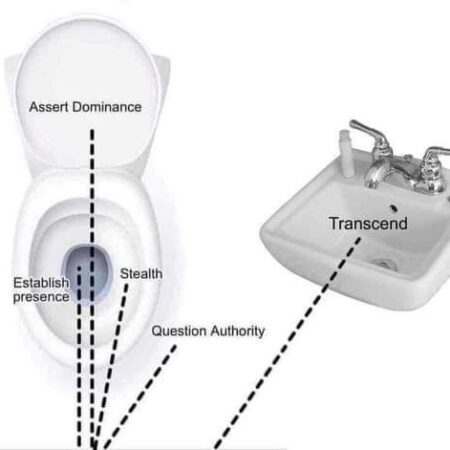 Ireland’s Women Assert Dominance: Lewis Leads Charge in Series Opener