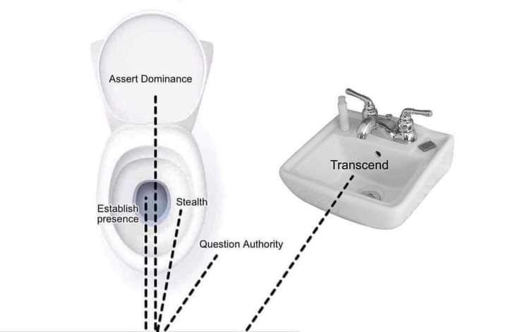 Preview Ireland’s Women Assert Dominance: Lewis Leads Charge in Series Opener