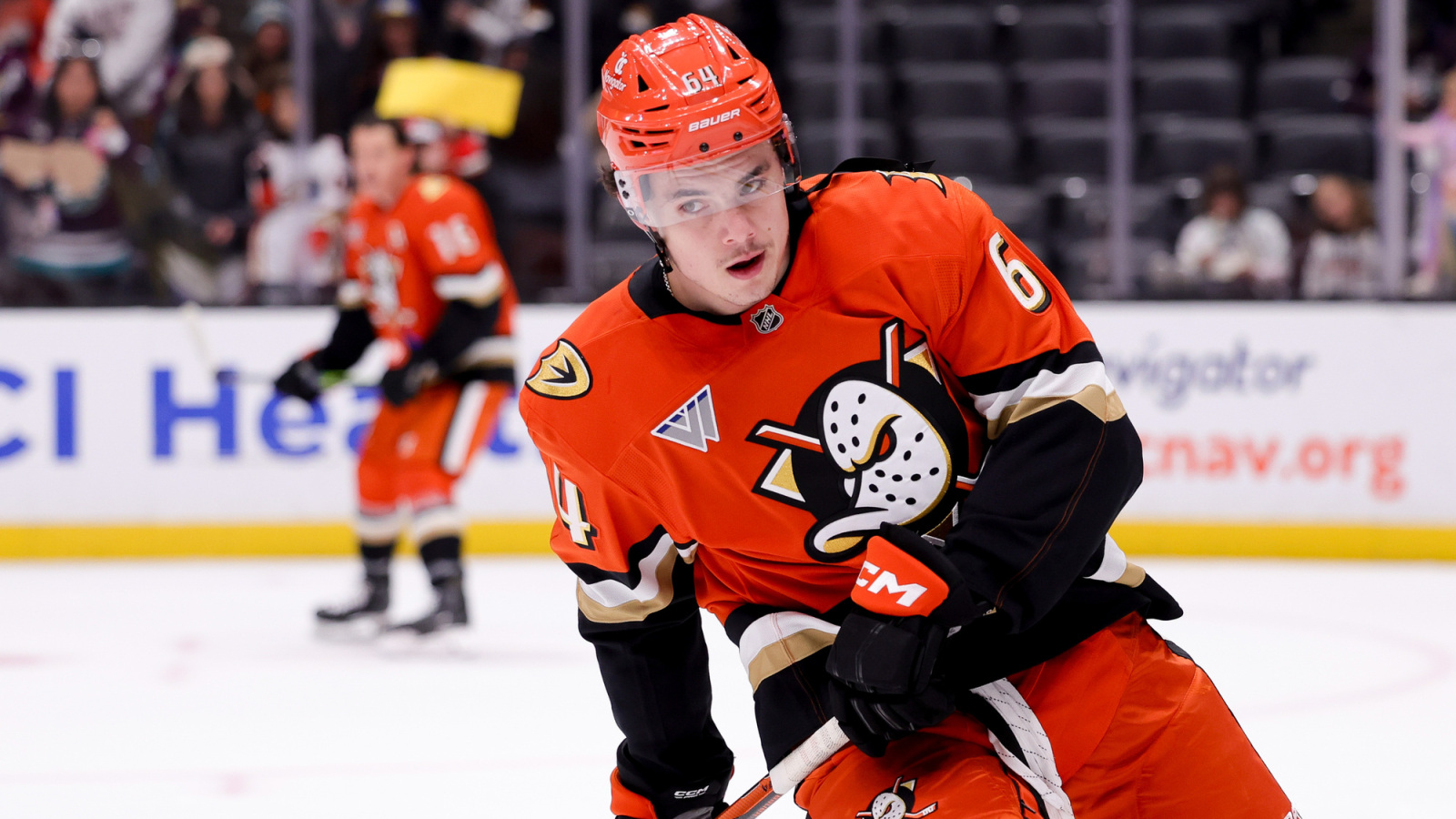Preview Anaheim Ducks Secure Promising Forward Sam Colangelo with Progressive Two-Year Contract