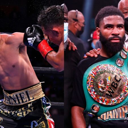 The Ever-Shifting Sands of Glory: A Deep Dive into WBA Boxing Rankings