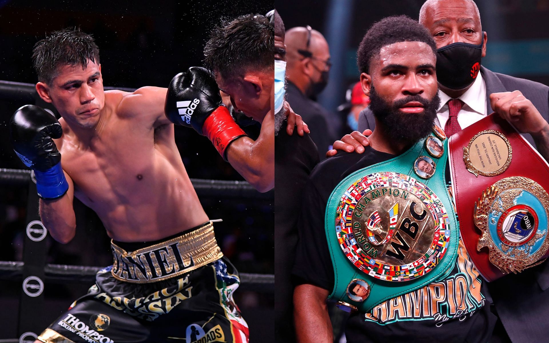 Preview The Ever-Shifting Sands of Glory: A Deep Dive into WBA Boxing Rankings