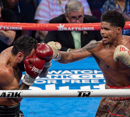 The Lightweight Gauntlet: Herrera vs. Nunez – A Mandate for Stevenson Looms