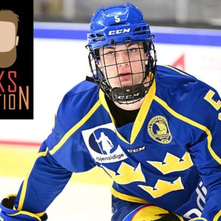 The Double Helix of Ambition: Pettersson and Willander’s NHL Ascent