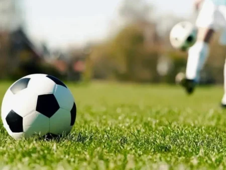 Combat Sports Betting: A Comprehensive Guide to 1Win, 1xbet, and Mostbet