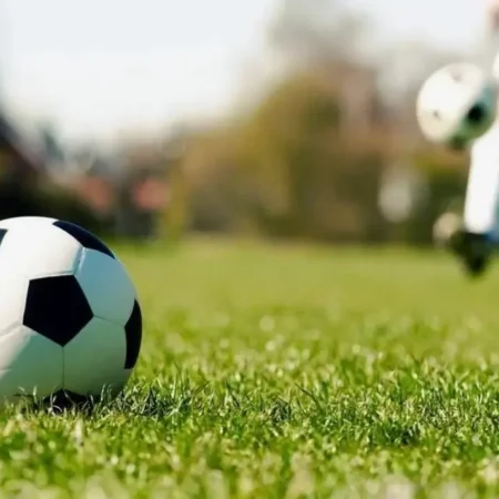 Combat Sports Betting: A Comprehensive Guide to 1Win, 1xbet, and Mostbet