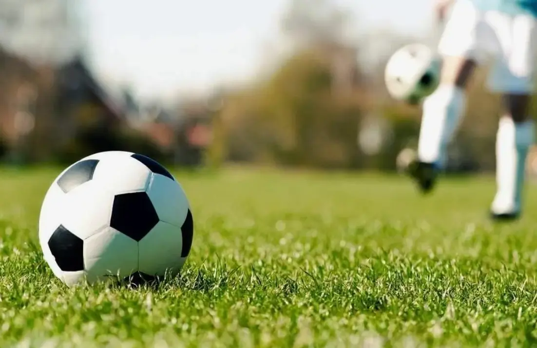 Preview Combat Sports Betting: A Comprehensive Guide to 1Win, 1xbet, and Mostbet