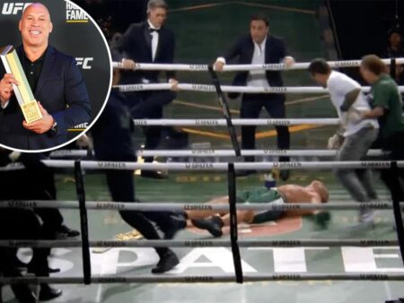 Beyond the Bell: The Chaotic Aftermath of Silva vs. Freitas Exhibition