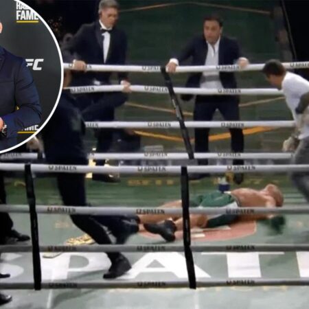 Beyond the Bell: The Chaotic Aftermath of Silva vs. Freitas Exhibition