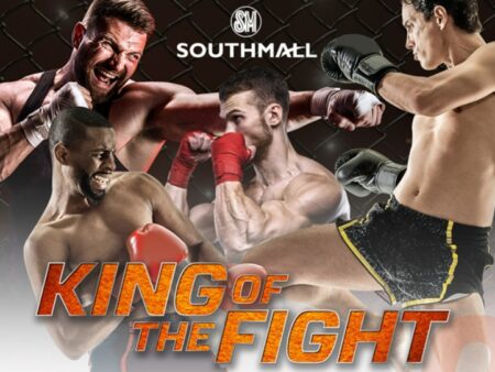 The Canvas of Combat: Unraveling the Timeless Dramas of Boxing and MMA