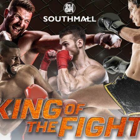 The Canvas of Combat: Unraveling the Timeless Dramas of Boxing and MMA