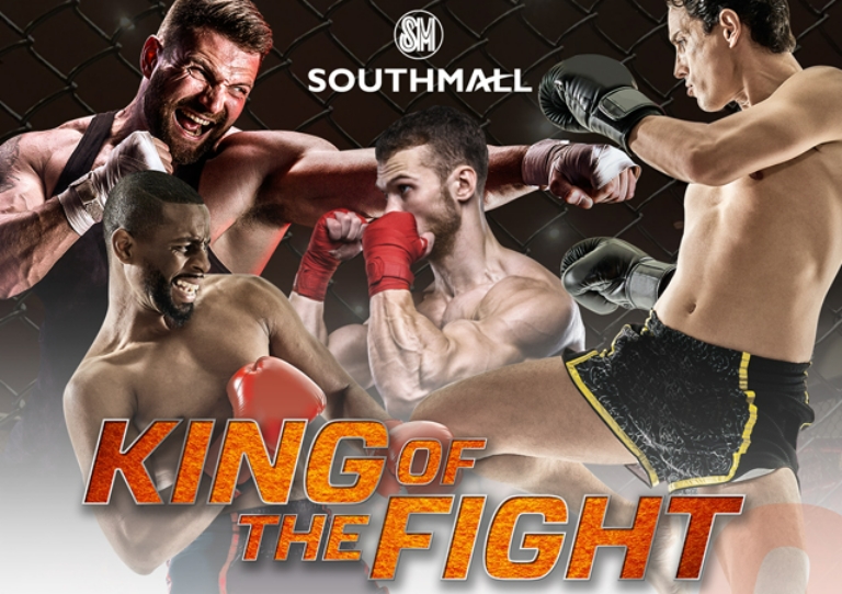 Preview The Canvas of Combat: Unraveling the Timeless Dramas of Boxing and MMA