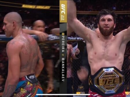 Magomed Ankalaev: How the “Worst Loss in History” Defined a Champion