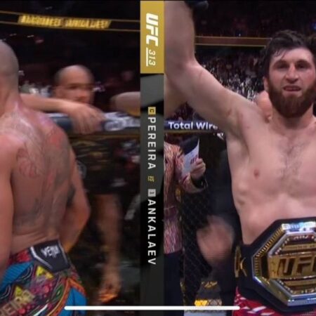 Magomed Ankalaev: How the “Worst Loss in History” Defined a Champion