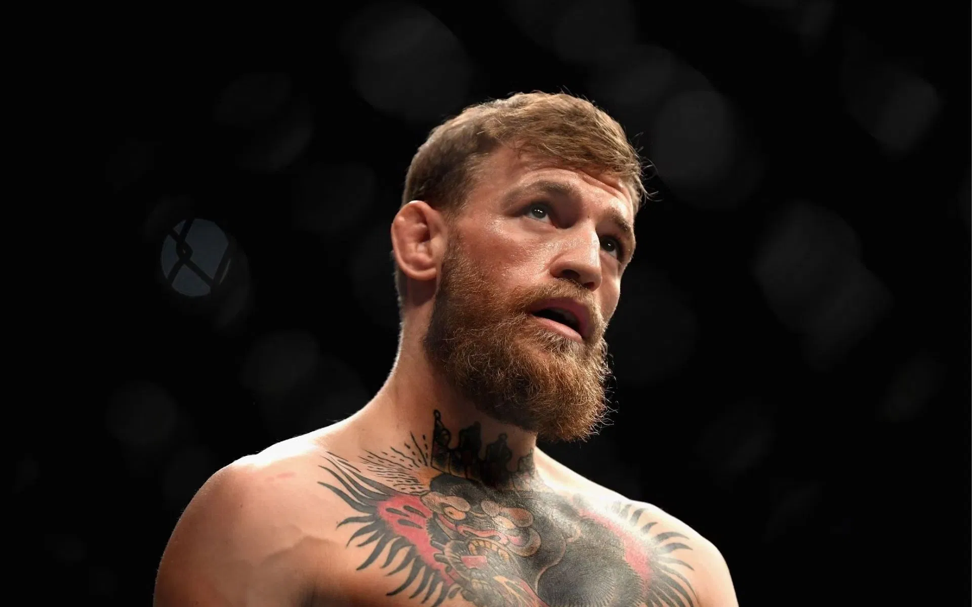 Preview The Phoenix from Dublin: Conor McGregor’s 2026 Comeback and the Future of MMA