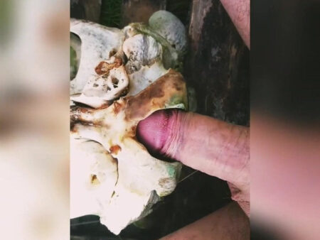 The Skull and The Knee: Unpacking MMA’s Most Brutal Blow