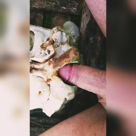 The Skull and The Knee: Unpacking MMA’s Most Brutal Blow