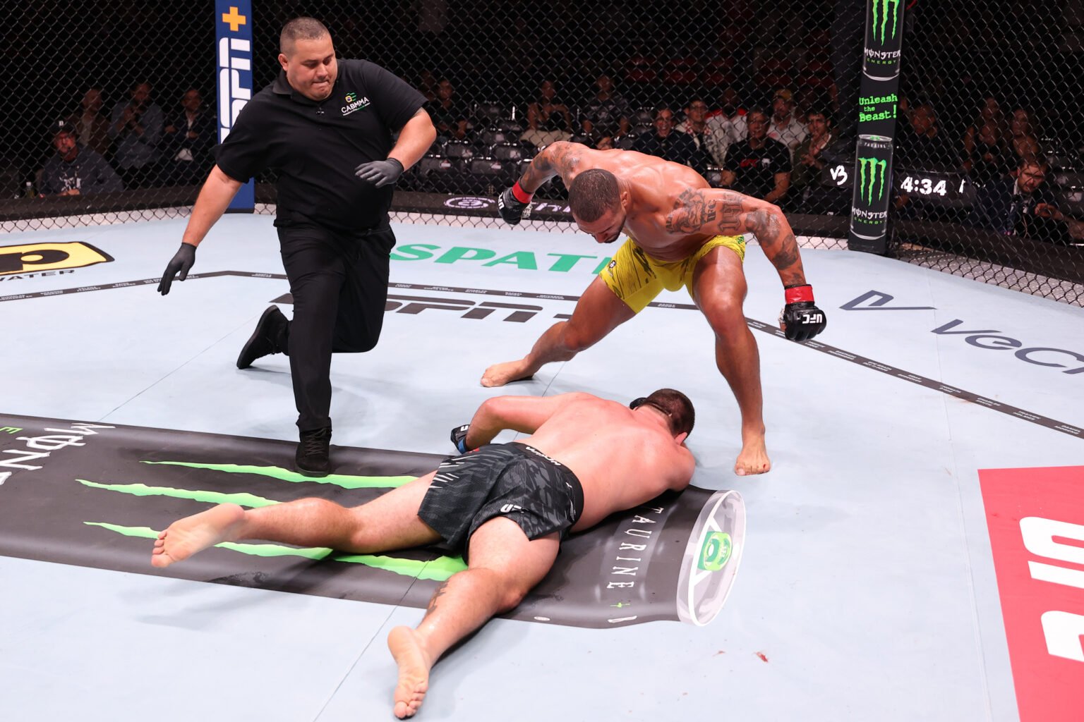 Preview Beyond the Canvas: Thomas Petersen’s Dignified Response to UFC Rio’s Viral Knockout
