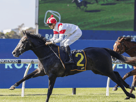 Vancouver’s Octagon Odyssey: De Ridder’s Pivotal Test Amidst Title Aspirations