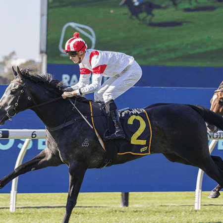 Vancouver’s Octagon Odyssey: De Ridder’s Pivotal Test Amidst Title Aspirations