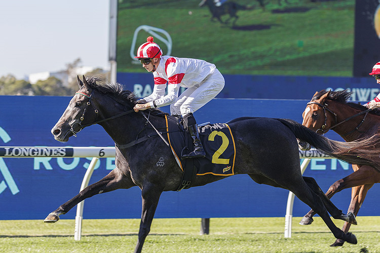 Preview Vancouver’s Octagon Odyssey: De Ridder’s Pivotal Test Amidst Title Aspirations