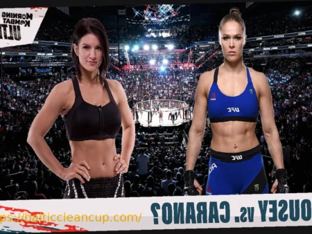 Netflix Subscription Prices Increase Ahead of Major Live MMA Event