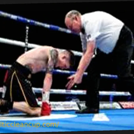 The World of a Boxing Referee: Privilege, Scrutiny, and the VAR Dilemma