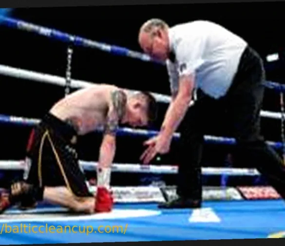 The World of a Boxing Referee: Privilege, Scrutiny, and the VAR Dilemma