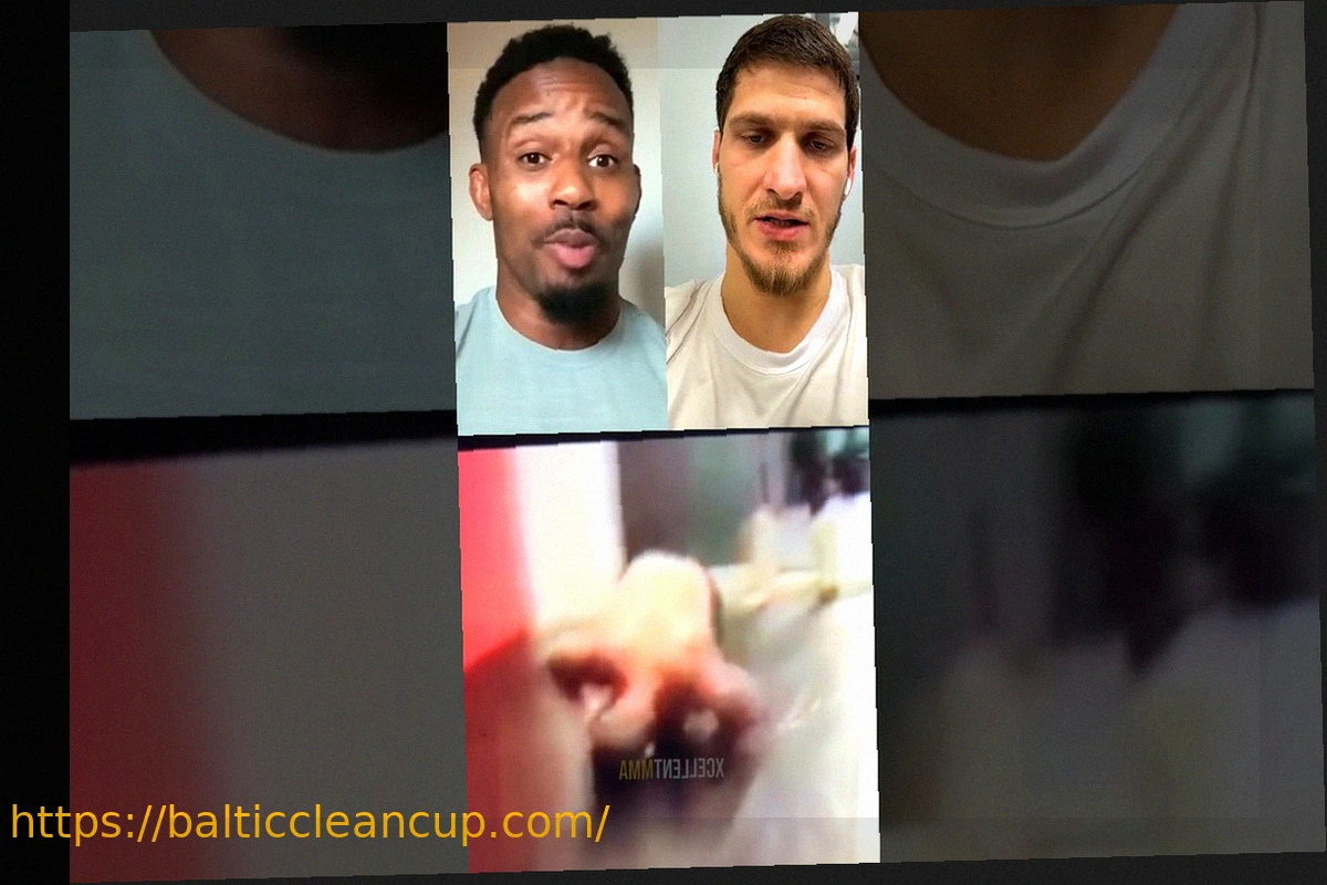 Preview Michael Bisping Claims Lerone Murphy Should Have Won Against Movsar Evloev