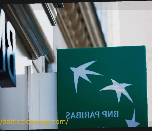 BNP Paribas Observations