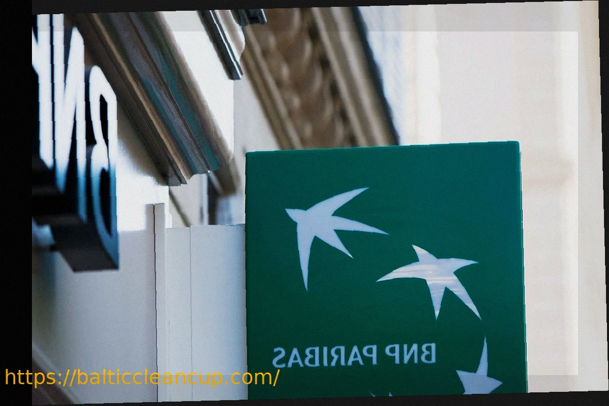 Preview BNP Paribas Observations