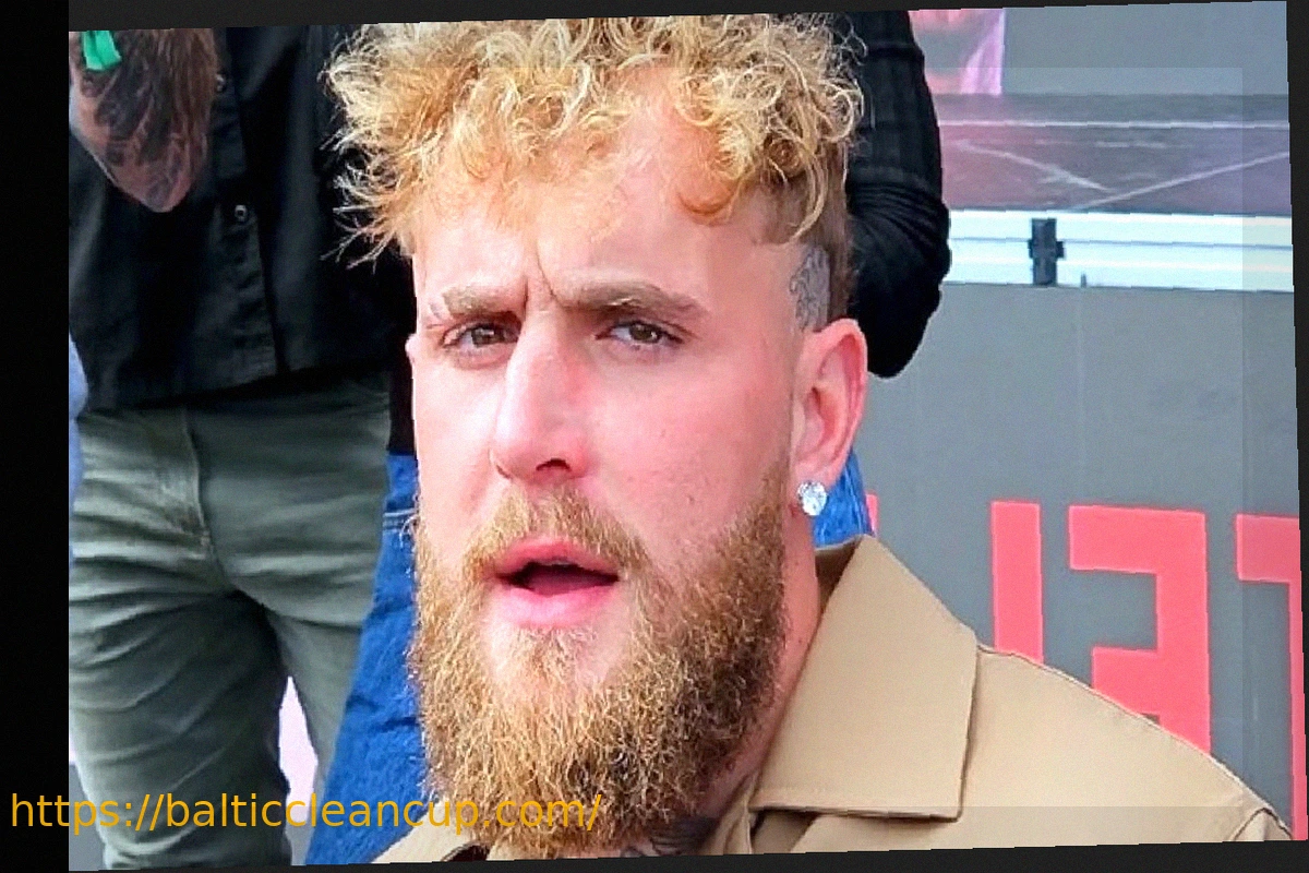 Preview Jake Paul: ‘I Believe the UFC is Dying’