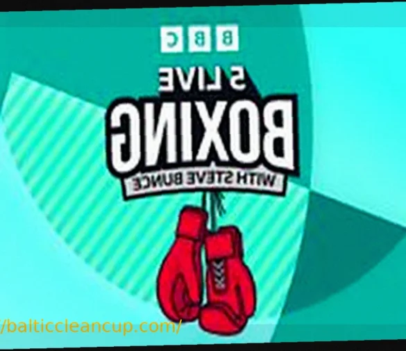 Понимание BBBoC: Взгляд на Регулирование и Управление Боксом