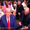 Donald Trump to Attend UFC 327, Dana White Confirms