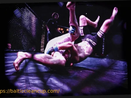 Is MMA Destined to Follow Boxing Down the Freak-Show Path?