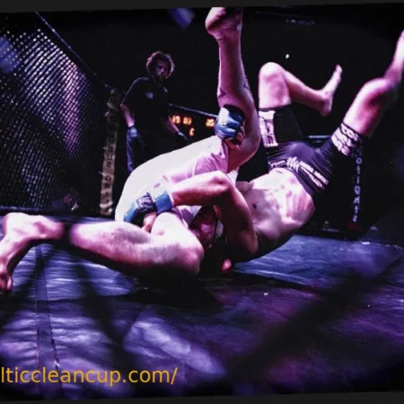 Is MMA Destined to Follow Boxing Down the Freak-Show Path?