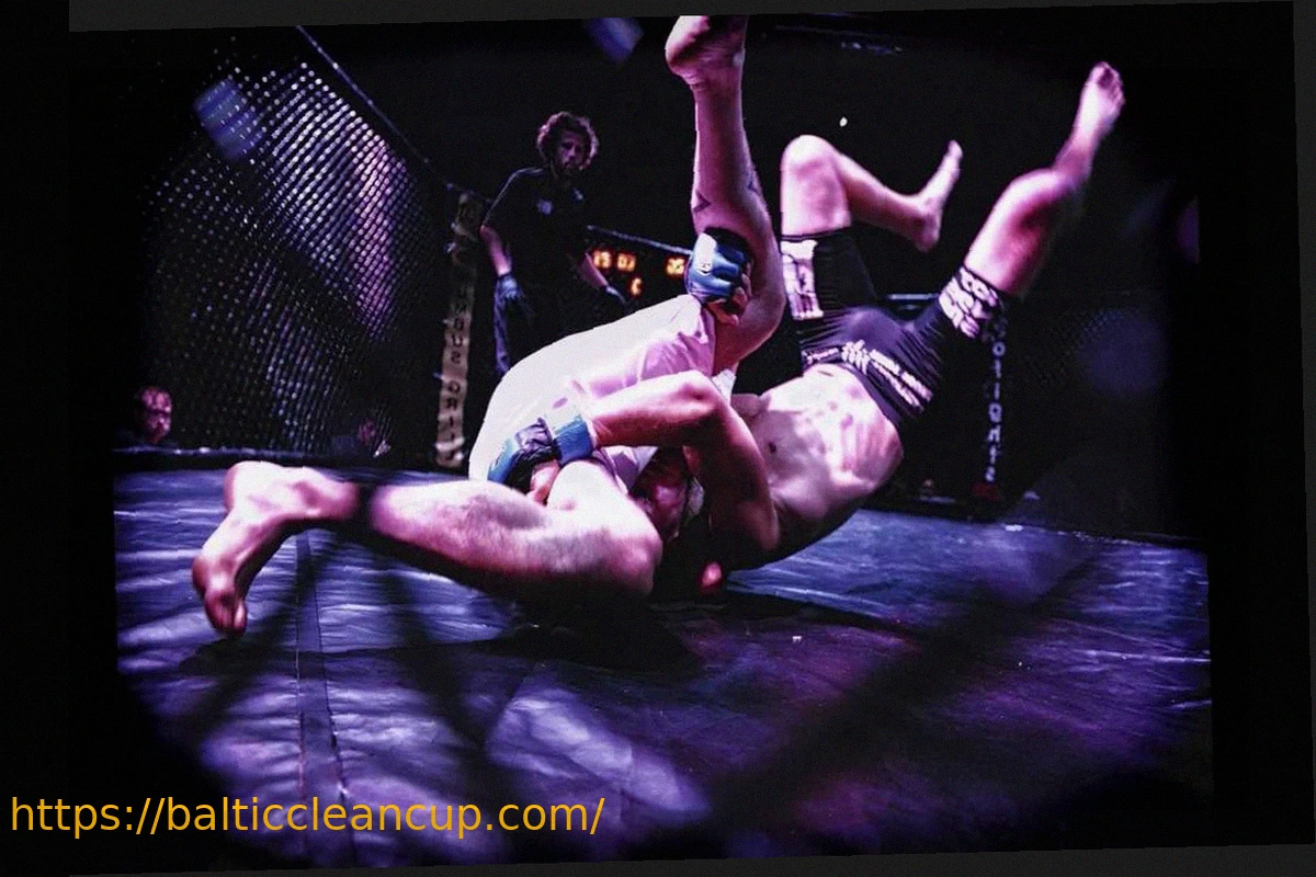 Preview Is MMA Destined to Follow Boxing Down the Freak-Show Path?