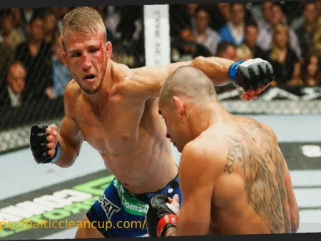 TJ Dillashaw Reveals Shockingly Small UFC Pay After Historic Renan Barao Title Fight