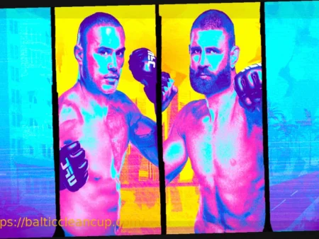 Jiri Prochazka vs. Carlos Ulberg Title Fight: Professional Fighter Predictions