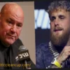 Jake Paul Slams Dana White: ‘Not Smart Enough’ to Save ‘Dying’ UFC Brand