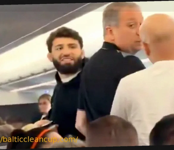 American Airlines Statement on Arman Tsarukyan Flight Incident