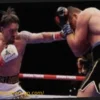 Usyk Defends Heavyweight Titles in Controversial Egyptian Stoppage