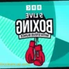 Прогноз боя Усик против Верховена от Вудхолла