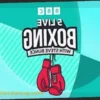 Can Rico Verhoeven Defeat Oleksandr Usyk?