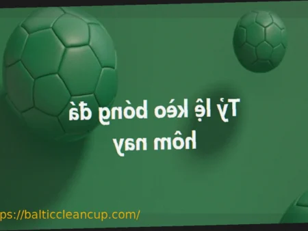 Today’s Bookmaker Odds Analysis Attracts Bettors with Accurate Predictions and Smarter Betting Strategies
